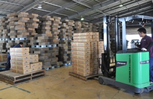花き製品の出荷作業が行われている沖永良部花き専門農協の作業場