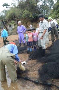 仕掛けた網を引き、かかったハリセンボンやエイに驚く参加者たち＝１日、宇検村芦検