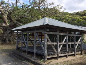 県文化財への指定が答申された瀬戸内町加計呂麻島のアシャゲ（上）と、中甫洞穴出土品（県教育委員会提供）