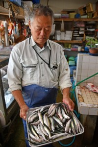 鮮魚店に持ちこまれたオオサバ＝１１日、龍郷町赤尾木