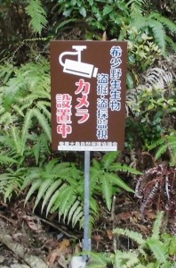 監視を啓発する看板＝奄美大島（奄美大島自然保護協議会提供）