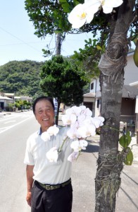 優雅な白い花を咲かせているコチョウランと重田会長＝２８日、奄美市名瀬大熊町