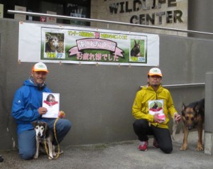 引退した探索犬のタワ（左）とユウキ（奄美野生生物保護センター提供）