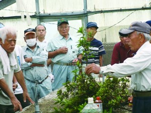 ケラマツツジの苗作りを学ぶ参加者ら＝２１日、和泊町（提供写真）