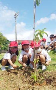 ヒカンザクラを植樹する亀徳小の１年生＝５日、徳之島町亀徳