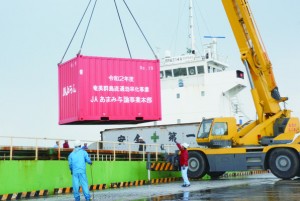 貨物船から降ろされるコンテナ＝２６日、与論町の茶花港