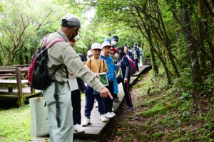 遊歩道脇の植物を観察する児童ら＝１３日、湯湾岳