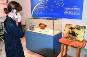 ウンブキの海底鍾乳洞内で発見され、一般公開が始まった７千年以上前の土器＝２９日、天城町天城