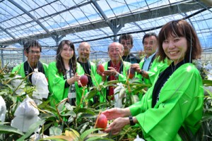 紅色に完熟したマンゴーを収穫する森田町長（左から4人目）ら＝２１日、天城町