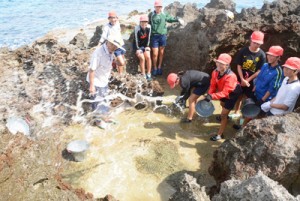 汐干し体験をする国頭小学校の児童ら＝７日、和泊町国頭の海岸