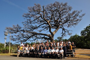 枝ぶりが見事な千年松。伐採を前に開かれた町内会主催の感謝祭＝１８年５月１３日、同市名瀬朝仁新町