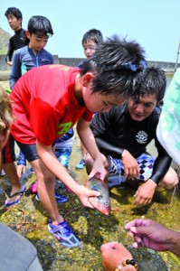 網に掛かった魚を手に取る児童＝２日、大和村今里