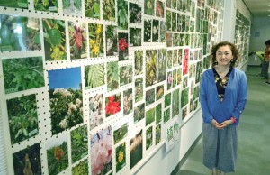 永田さんが撮影した写真約５６０点が並んだ写真展＝１６日、徳之島町文化会館