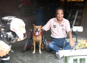 取材を受ける島田さんと車いす犬ラッキー＝４日、徳之島町亀津