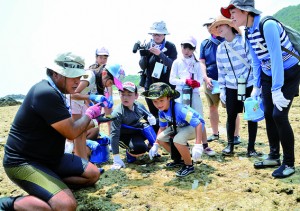 潮だまりの生き物を観察する参加者＝２日、奄美市笠利町の用海岸