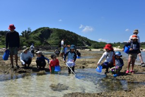 サンゴ礁にすむ生き物を観察した参加者＝１８日、奄美市笠利町