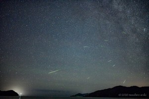 荒木さん撮影のペルセウス座流星群。１２日２２時２２分～１３日０時２２分までの６００枚の連続撮影写真から流れ星をピックアップし比較明暗合成した