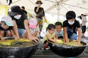 草木染めを体験する参加者＝２３日、奄美市笠利町の県奄美パーク