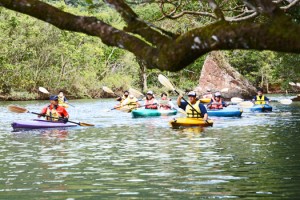 マングローブ林でカヌー体験を楽しむ生徒＝２３日、奄美市住用町