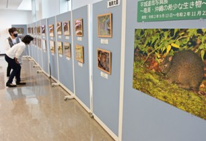 奄美空港で開催されている平城さんの写真展＝２６日、奄美市笠利町