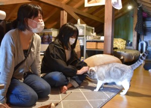 保護猫カフェで猫と触れ合う親子＝２日、奄美市名瀬