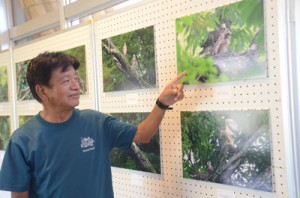 奈良県北部で撮影したサシバの幼鳥期の写真を紹介する与名正三さん＝９日、宇検村湯湾の元気の出る館