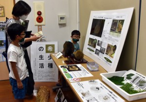 アマミノクロウサギなどの生活を紹介している企画展