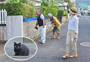 野良猫の調査を行う住民らと屋外にいた猫（円内）＝２９日、奄美市名瀬有屋町