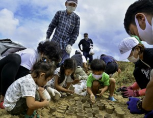 自然の防風林復活を願いアダンの実を砂浜に埋める参加者ら＝１８日、奄美市笠利町の用海岸