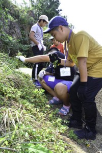 外来種について学び、駆除作業に取り組んだ児童たち＝１７日、瀬戸内町古仁屋  