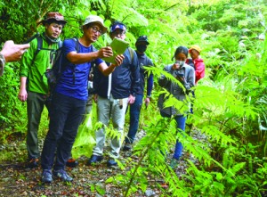 希少な植物の観察などを楽しむ参加者ら＝２３日、奄美中央林道