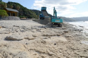 露岩が目立つ海岸に次々と砂を投入するトラック＝２６日、奄美市名瀬