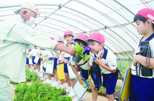 花の香りをかいで驚く大勝小学校の児童と再田純信さん（写真左）＝２０日、龍郷町浦の再田農園