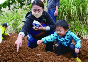 野菜の種を植える参加者＝２１日、和泊町