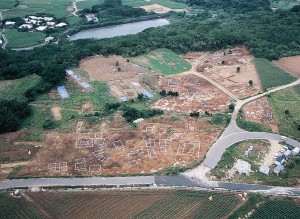 喜界町中央部に広がる城久遺跡群（喜界町教育委員会提供）