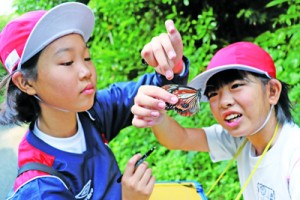 マーキングしたアサギマダラを観察する喜界小の児童ら＝１４日、滝川林道