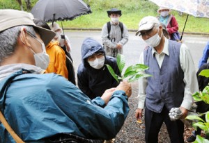 地元の植物について学んだ植物教室＝８日、知名町の大山