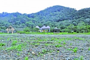 マミノクロウサギ研究飼育施設の建設予定地＝７日、大和村思勝