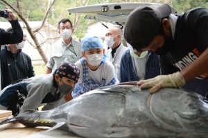 マグロの解体に興味津々の児童＝１２日、宇検村