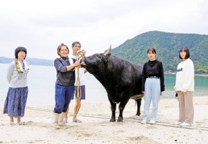 海岸で闘牛「雷神」を散歩させる三原さん家族ら。その様子を見つけ、すぐに観光客や住民が集まった＝２０年１２月１３日、瀬戸内町