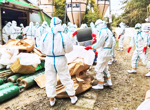 は 鳥 インフルエンザ と 鳥インフルエンザウイルスに対する消石灰の消毒効果