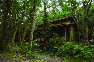 野鳥観察施設として改修予定の旧昆虫小屋＝６日、龍郷町の奄美自然観察の森