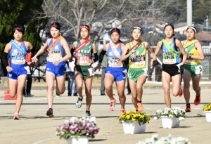 スタートする大島の伊集院若菜（右から４人目）ら１区の選手たち＝３１日、霧島市隼人運動場