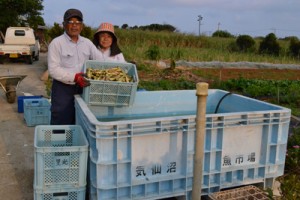  東日本大震災の津波で流出したとみられるコンテナを大切に使っている里光川悦さん、キミエさん夫妻＝８日、与論町古里