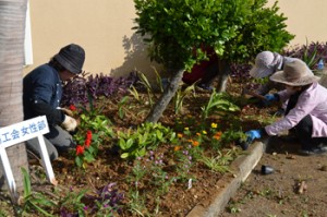 ボランティアで花を植える与論町商工会女性部の会員たち＝２日、同町