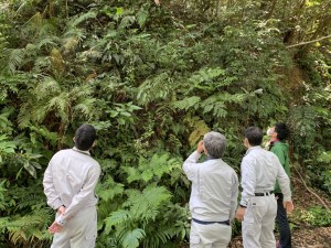 盗掘・盗採防止に向けてパトロールを行う関係者ら＝１日、奄美大島（環境省提供）