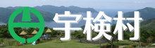 宇検村